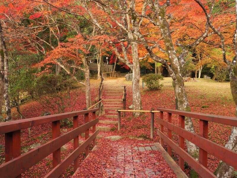 Yumoto Ueyama Ryokan Himeji Εξωτερικό φωτογραφία